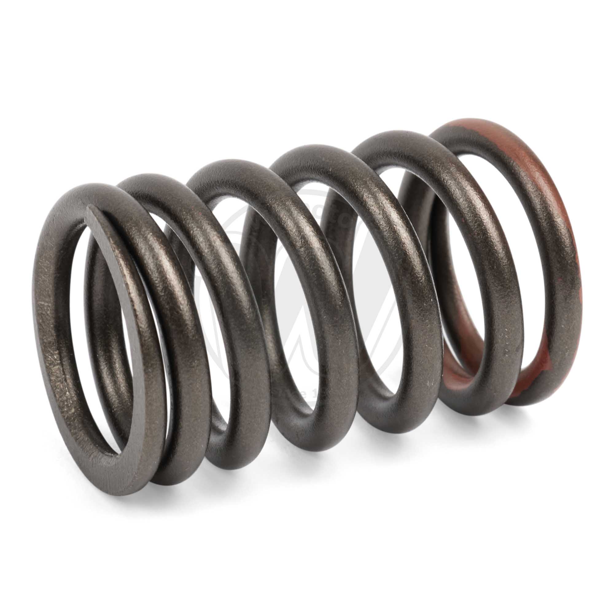 Valve Spring Exhaust Outer