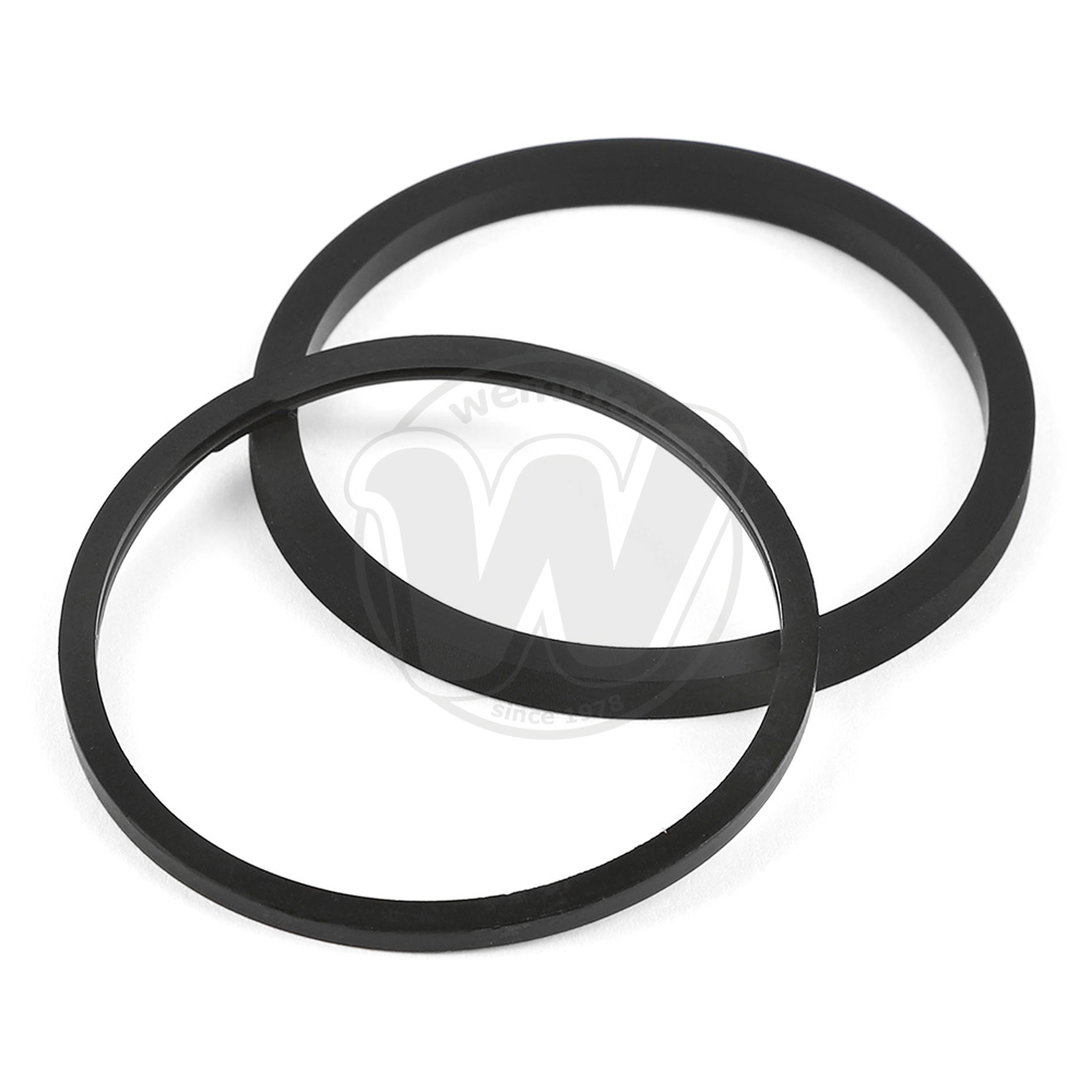 Brake Piston Seal and Dust Seal Front Brake