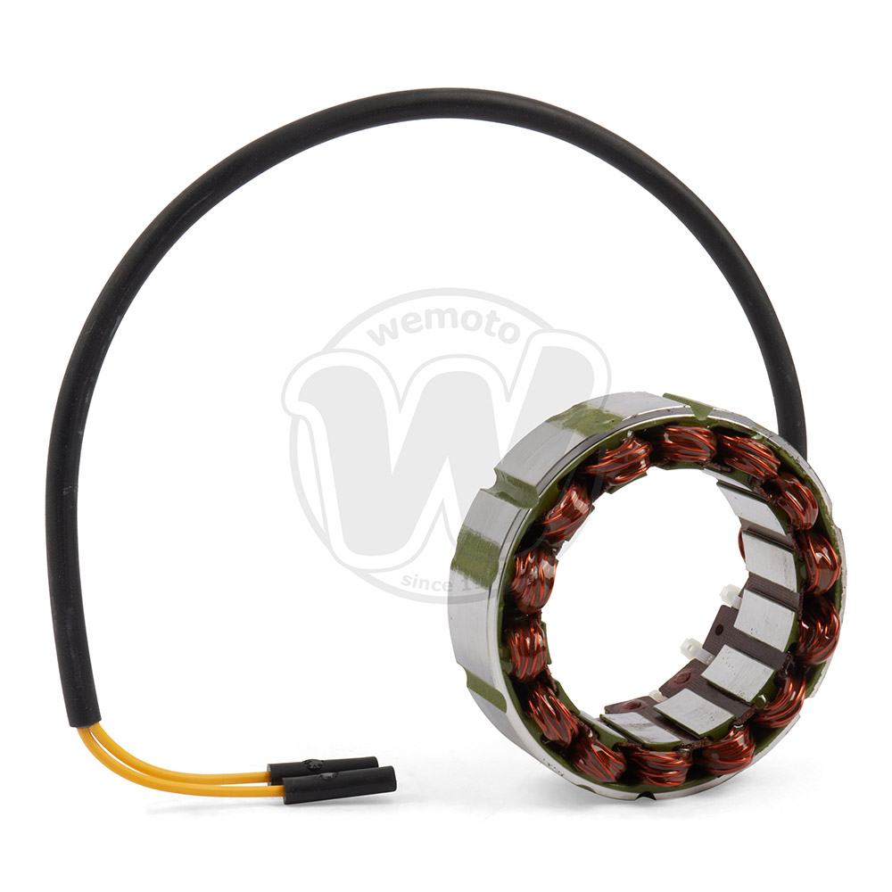 Generator - Stator - by Electrex