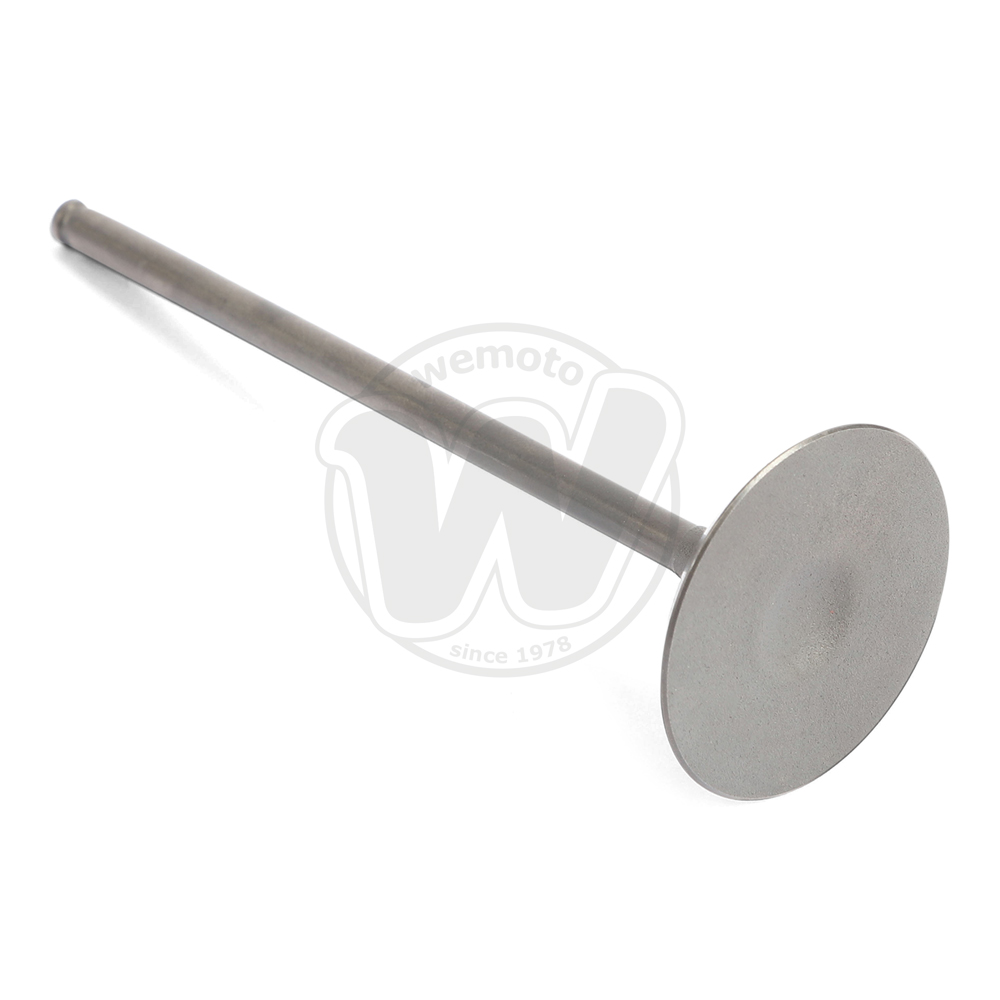Valve Inlet