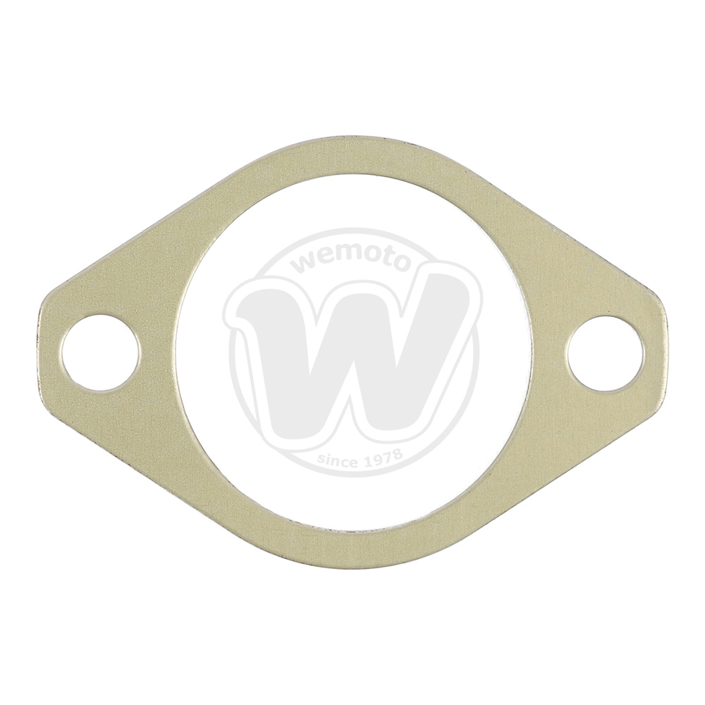 Guarnizione Tenditore Catena Distribuzione