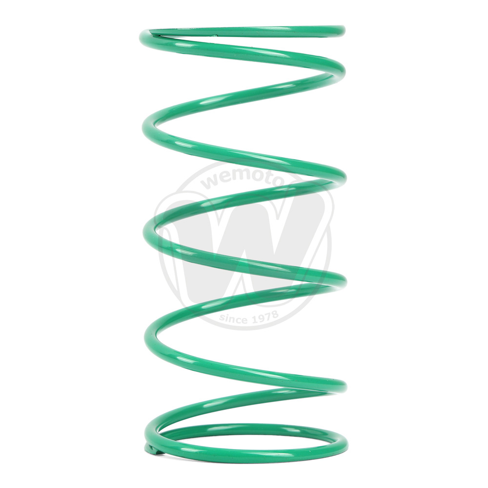 Driven Plate Compression Spring - kg.25 (GREEN)