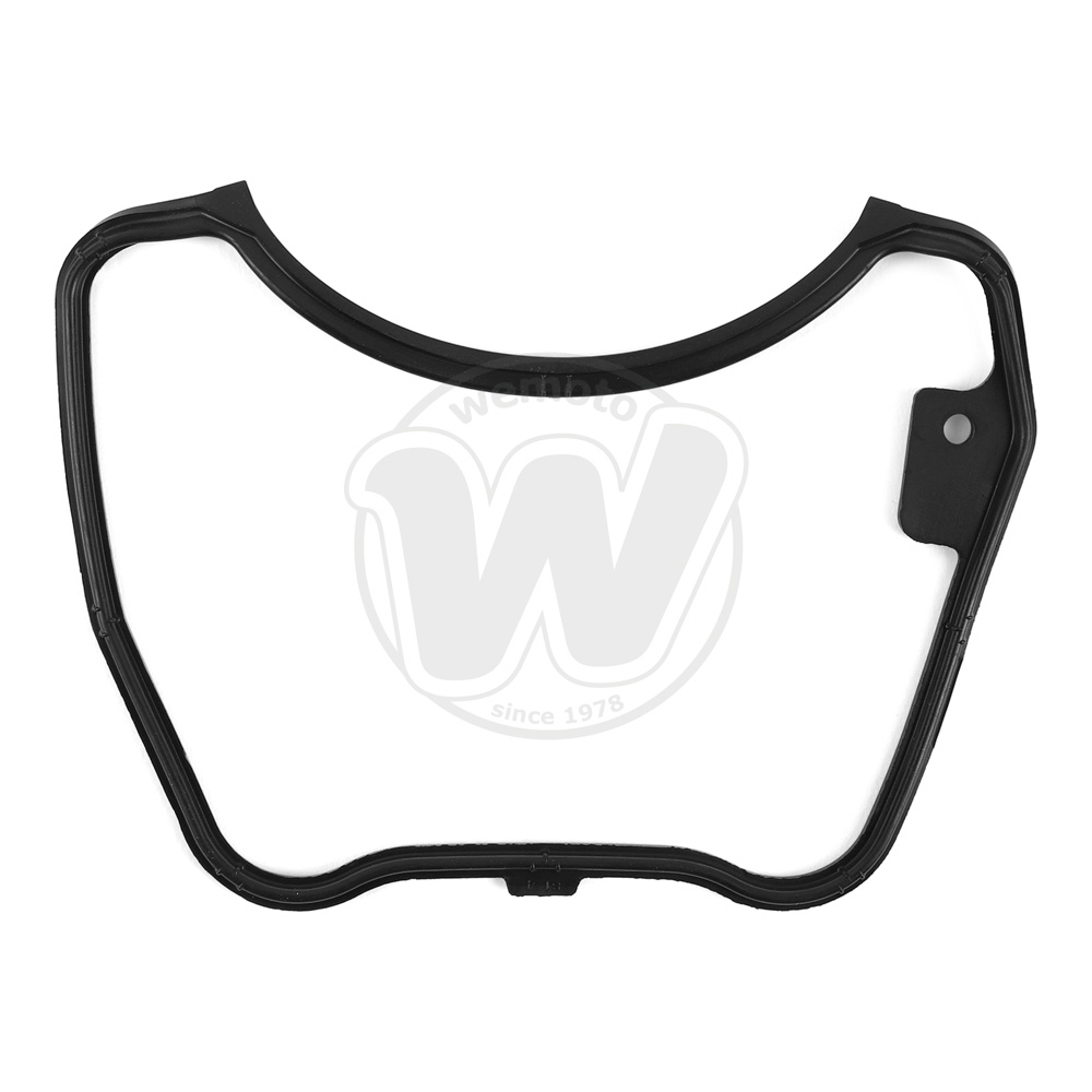 Guarnizione Tenuta Bilanciere