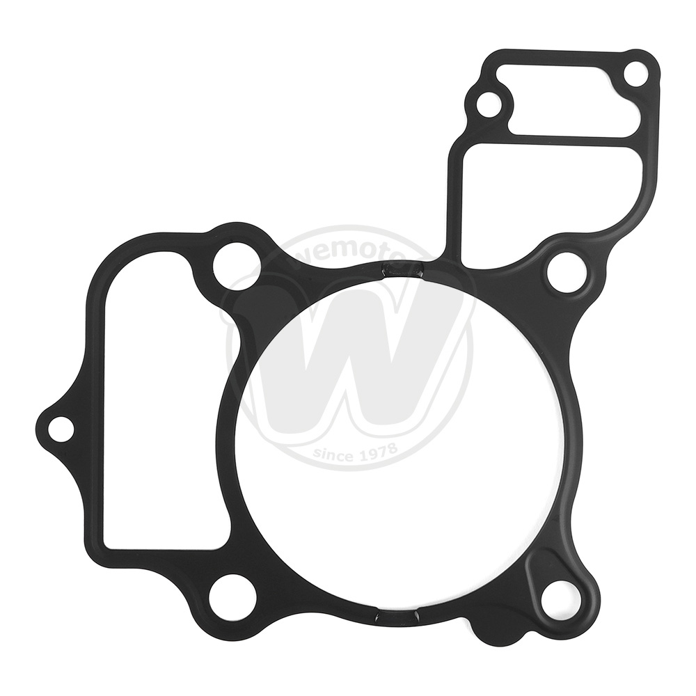 Guarnizione Base Cilindro