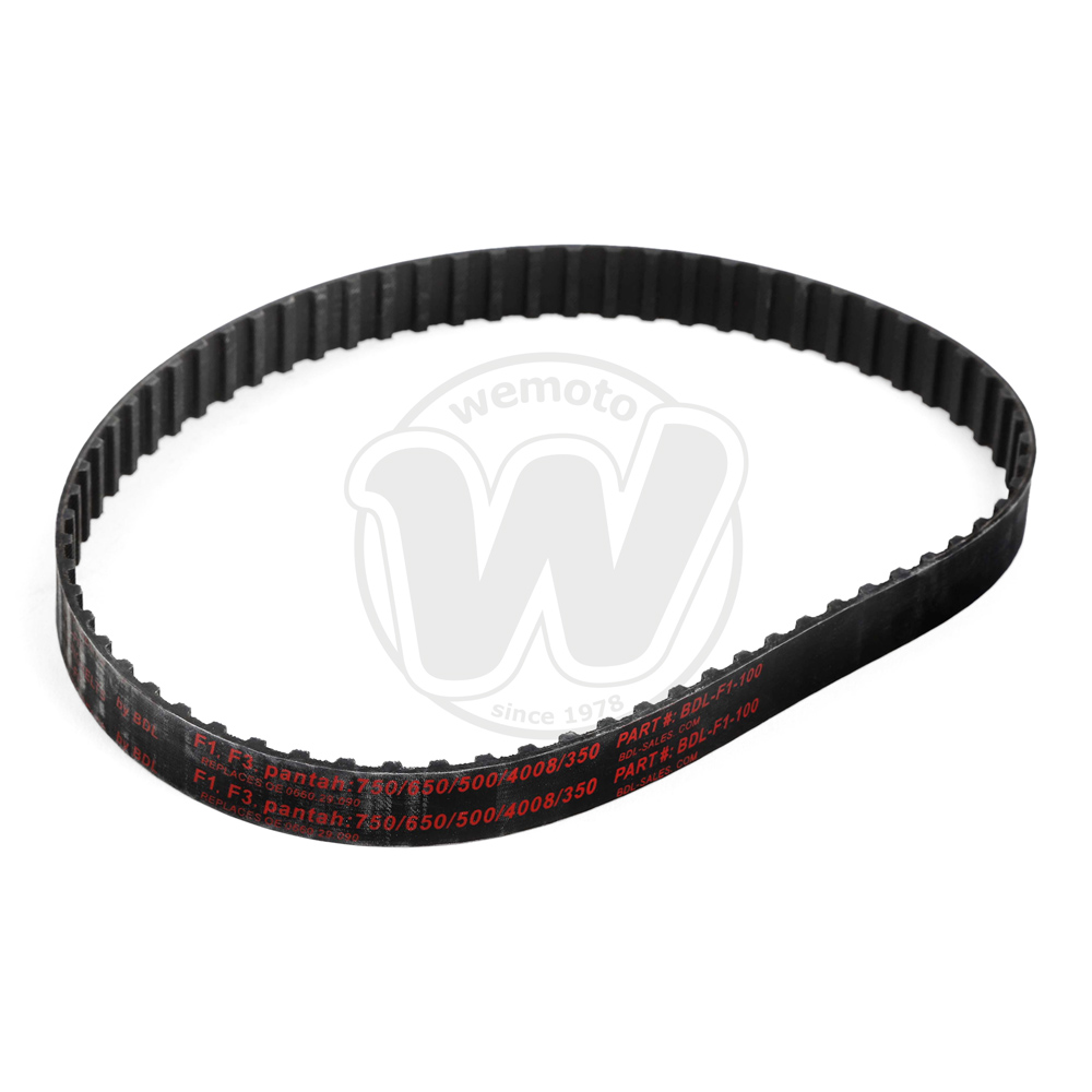 Cinghia Distribuzione