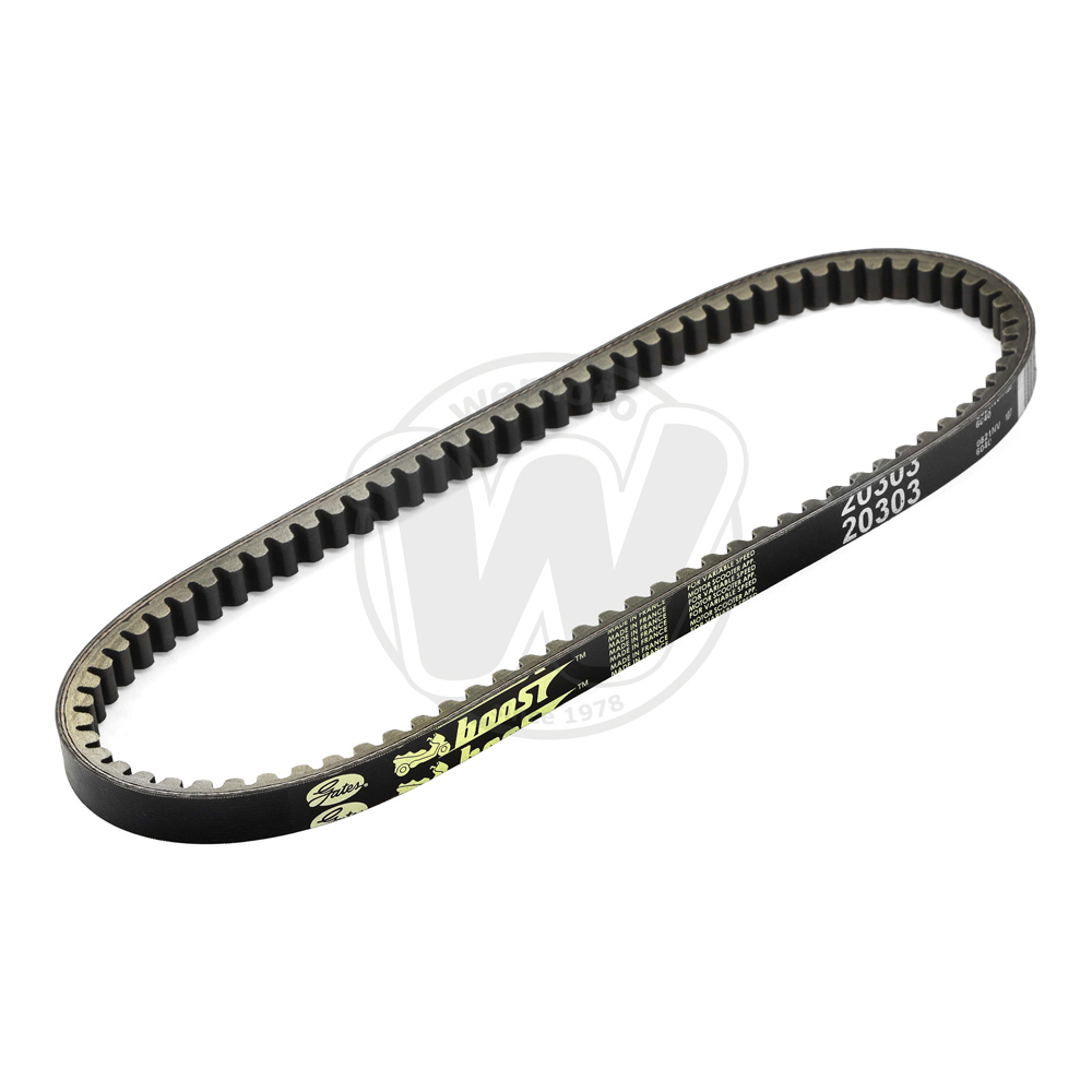 Cinghia di Trasmissione