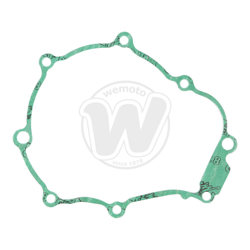 Guarnizione Alternatore