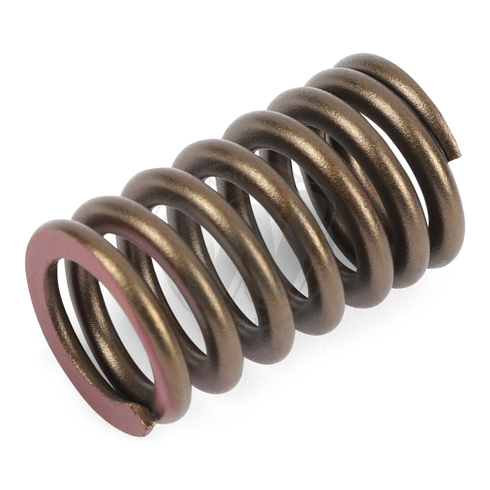 Valve Spring Exhaust