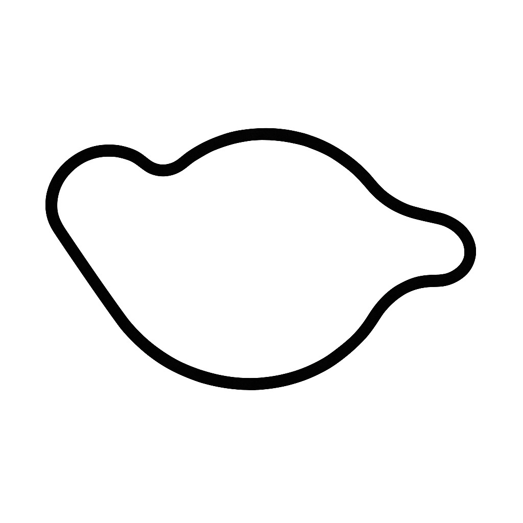 Waterpump Gasket