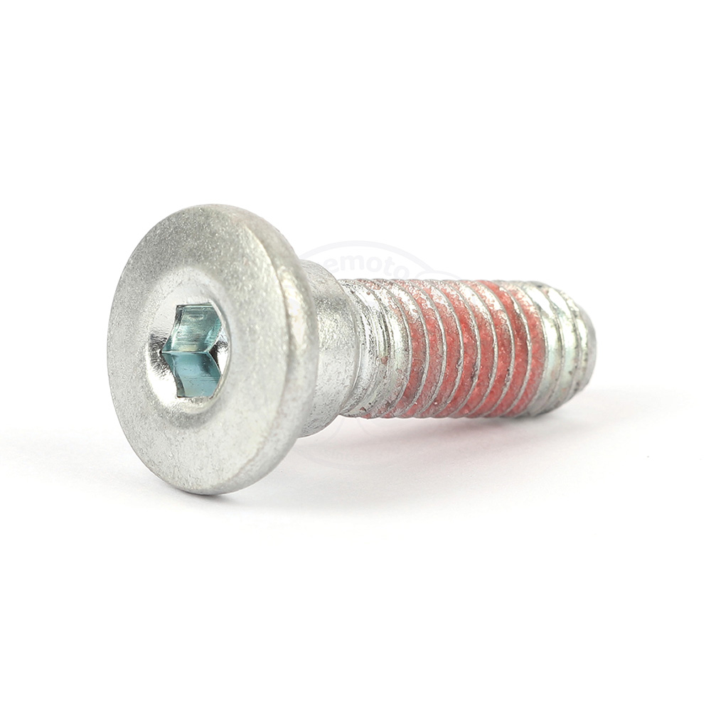 Mounting Bolt - Rear Disc - OEM