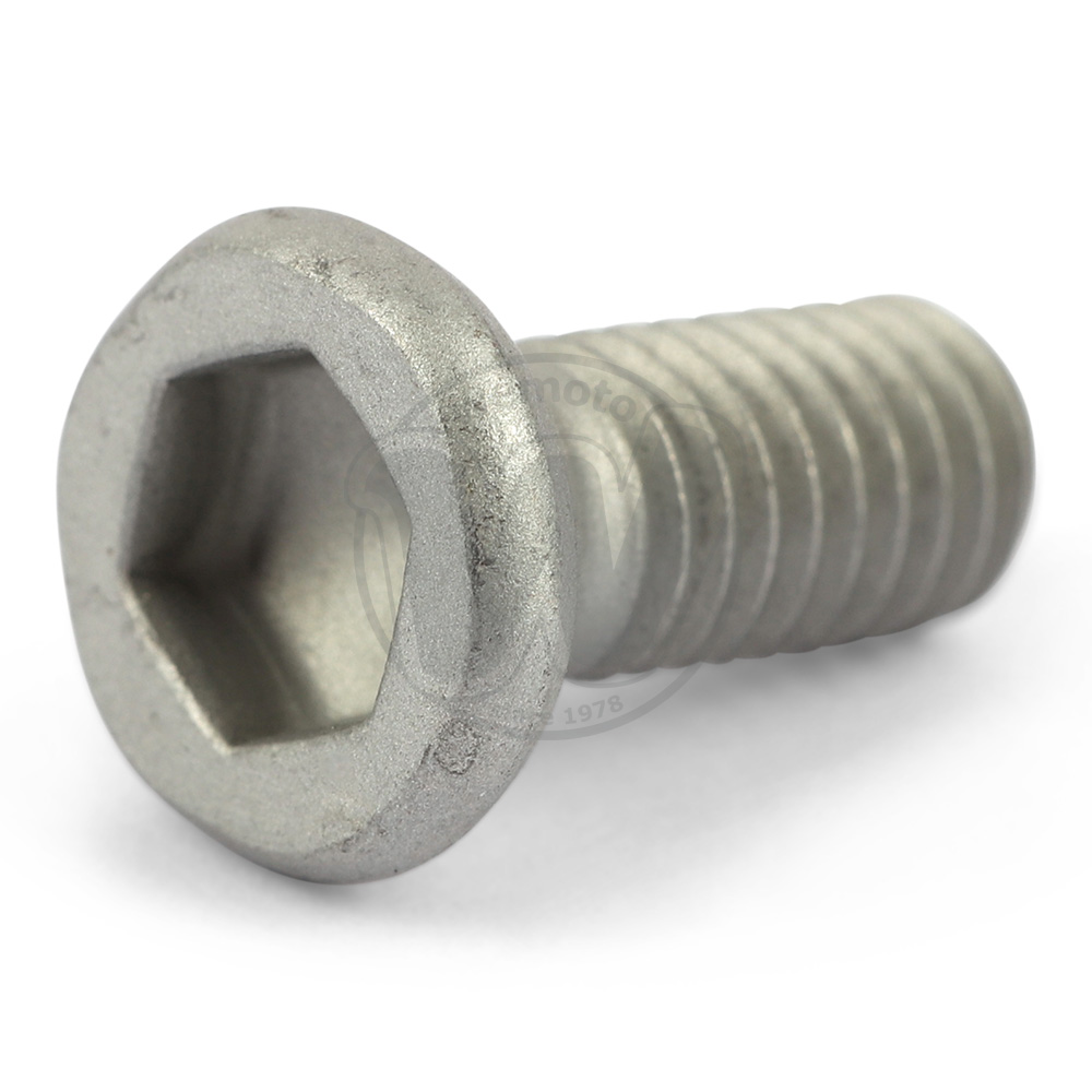 Mounting Bolt - Front Disc - OEM