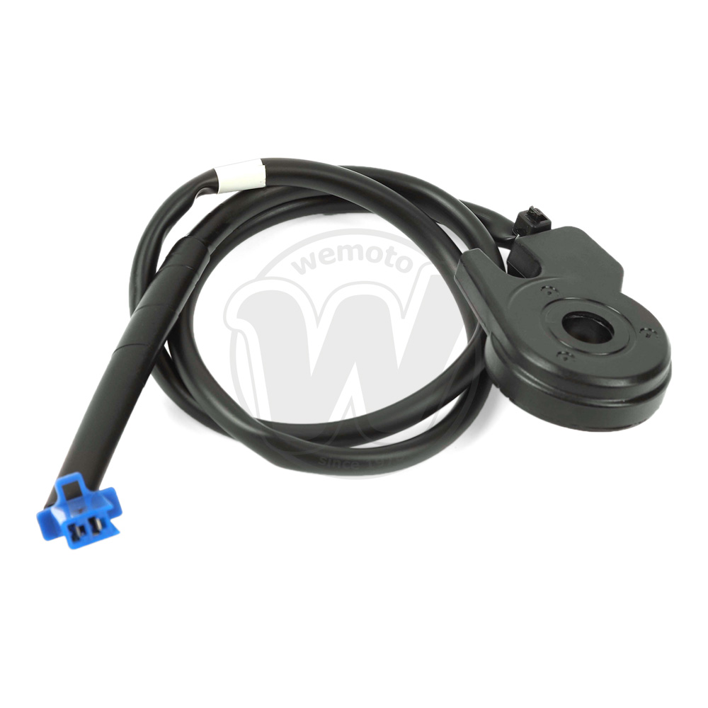 Side Stand Switch