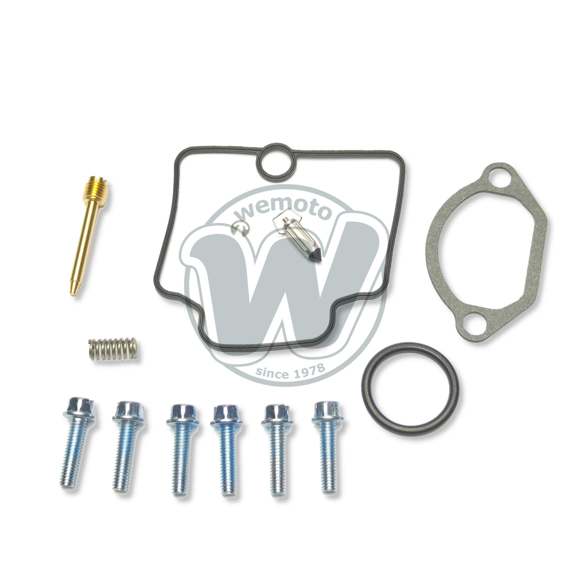 Carburettor Complete Repair Kit