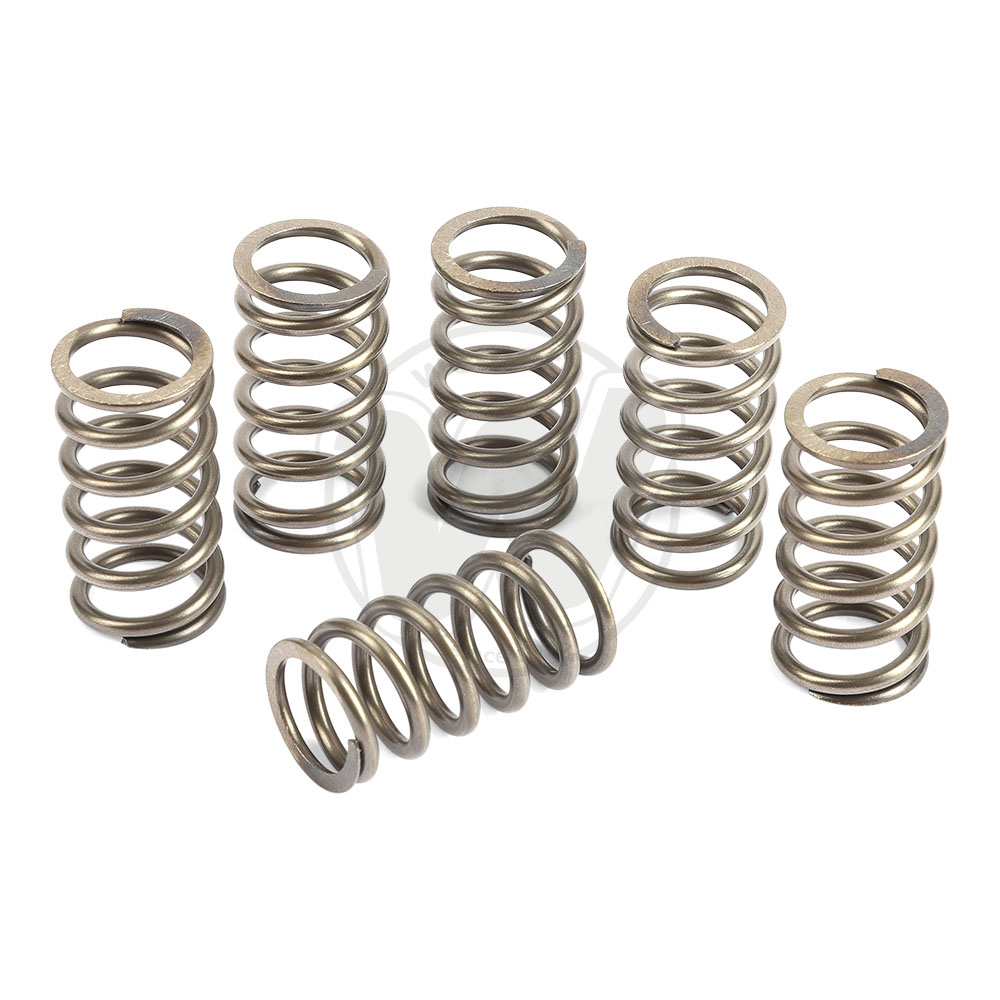 Kit Molle Frizione - EBC Heavy Duty