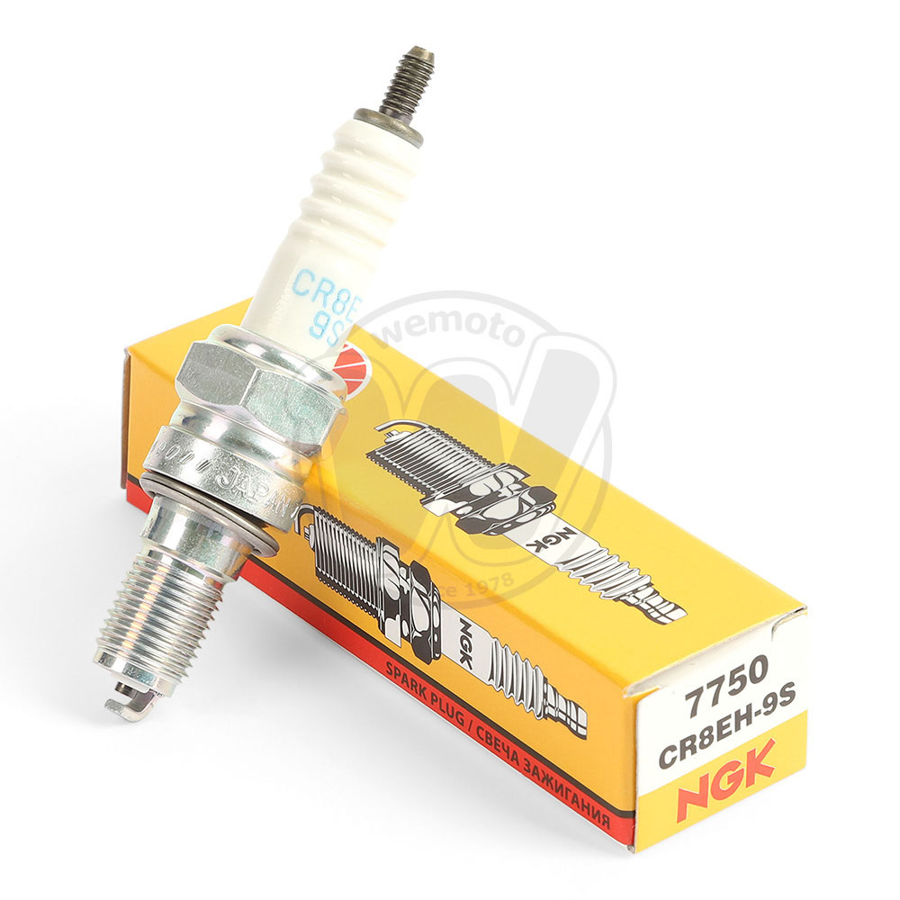 0SB8879_ad1937.jpg