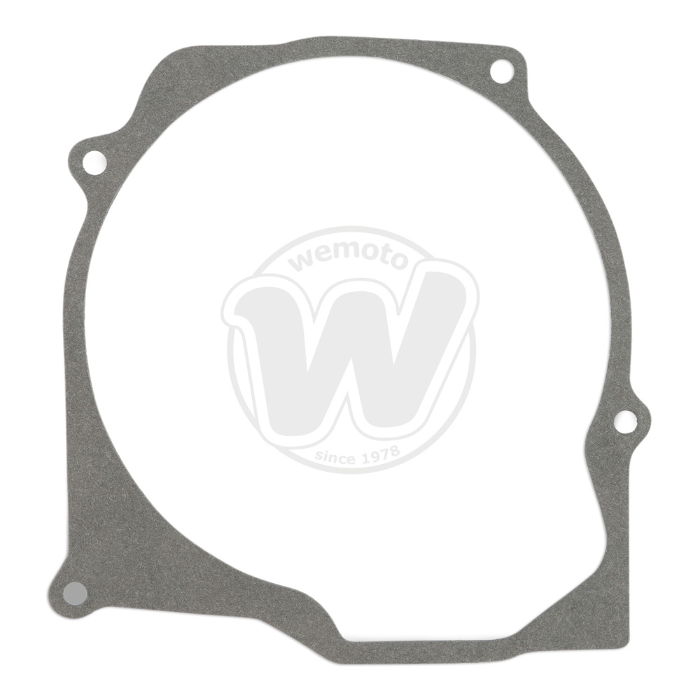 Guarnizione Alternatore