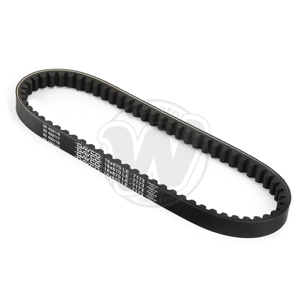 Cinghia di Trasmissione