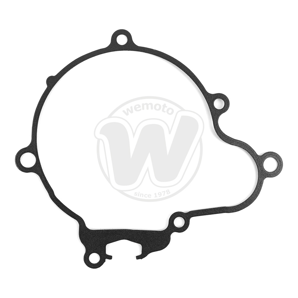 Guarnizione Alternatore