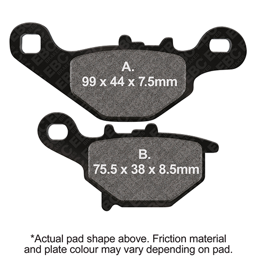 0TG5448_FA396.jpg