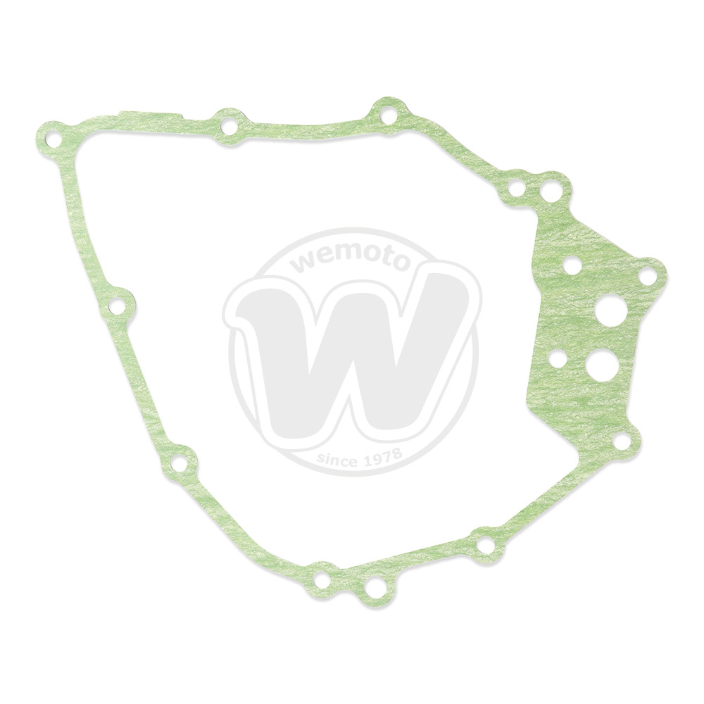 Guarnizione Alternatore