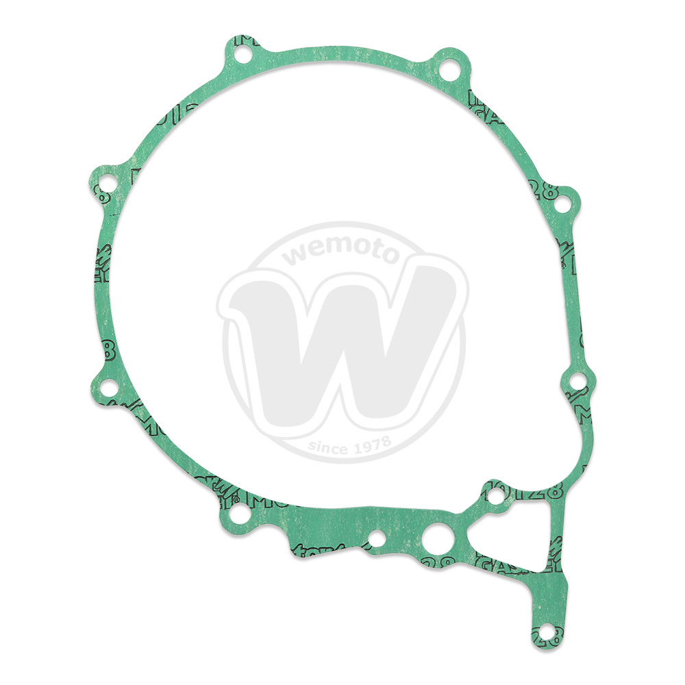 Guarnizione Alternatore