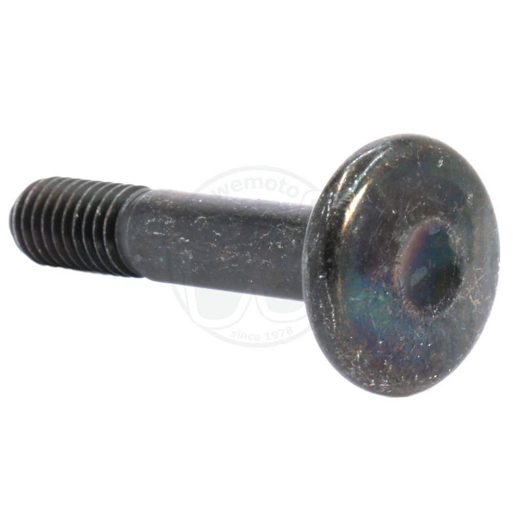 Clutch Lever Pivot Bolt