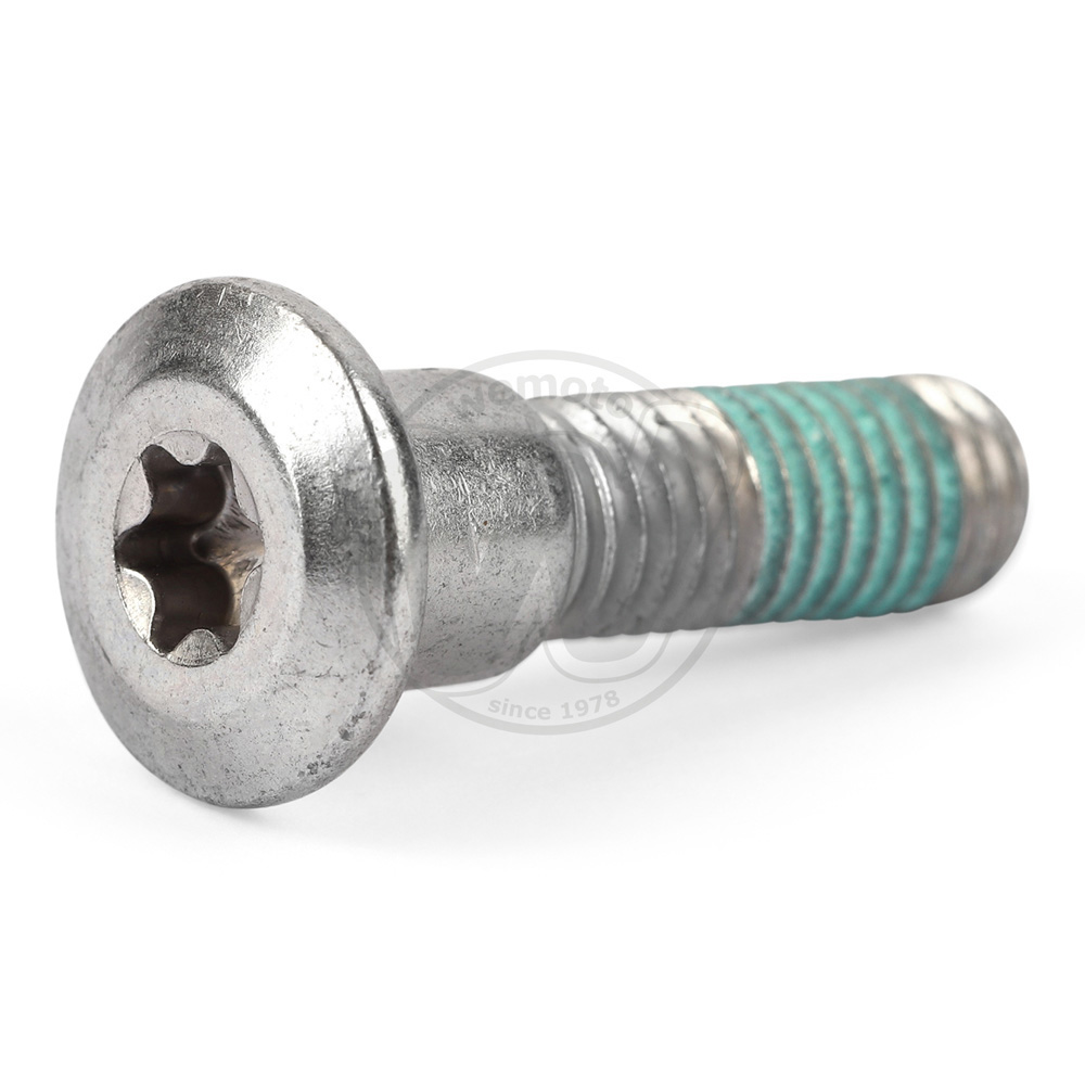 Bullone Fissaggio Disco Anteriore - Singolo