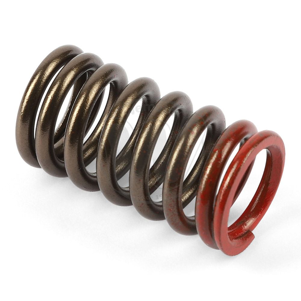 Valve Spring Exhaust