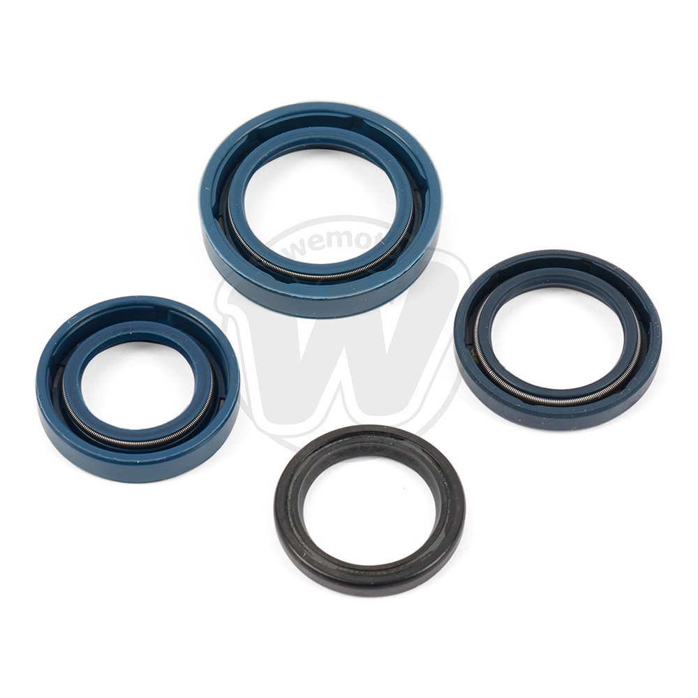 Engine Oil Seal Kit