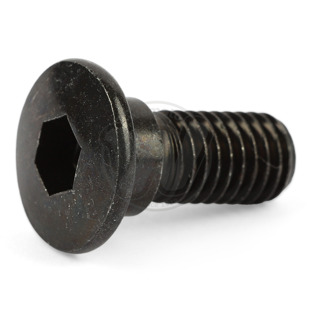 Mounting Bolt - Rear Disc - Individual