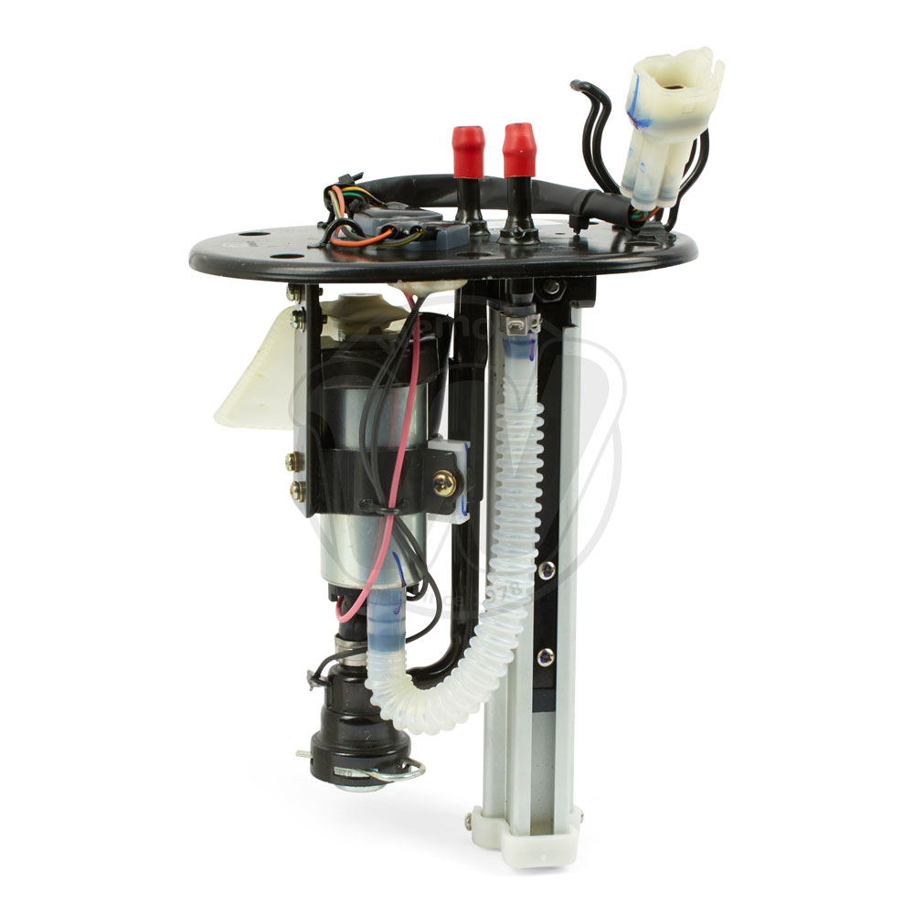 Fuel Pump Assembly