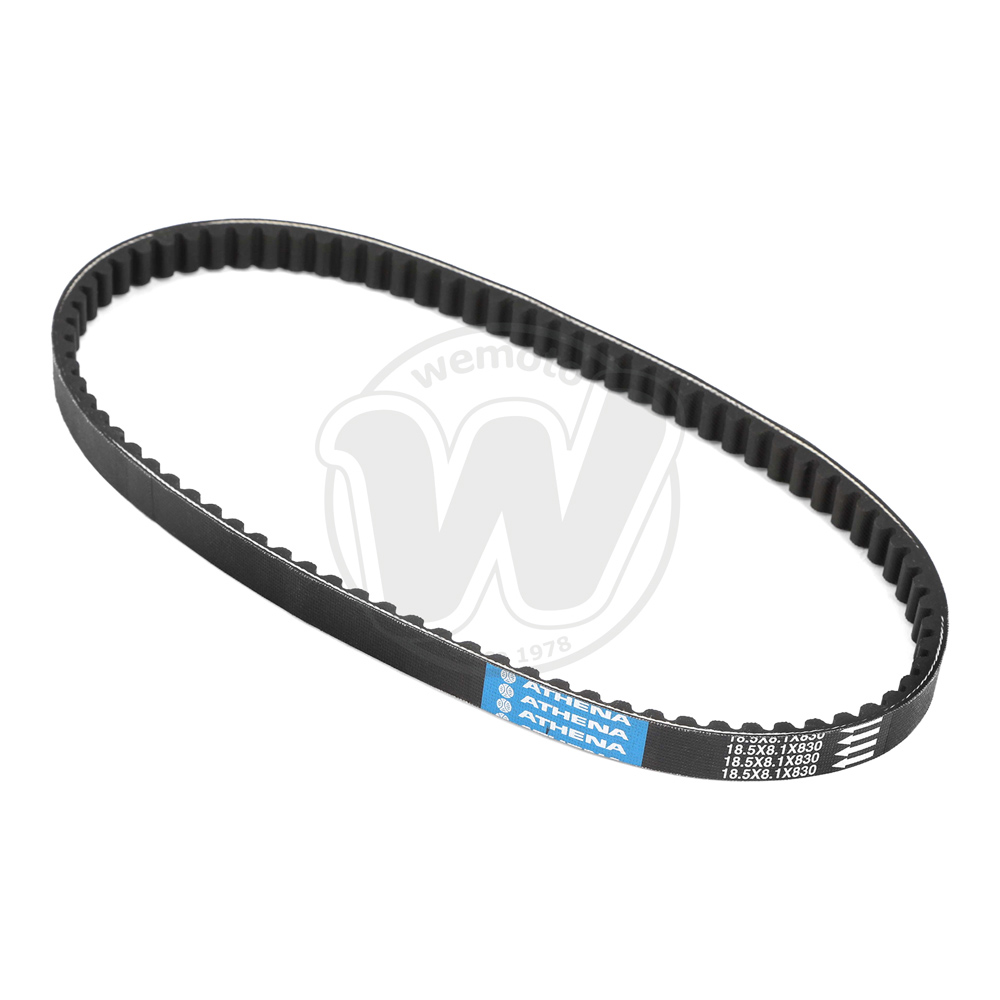 Cinghia di Trasmissione