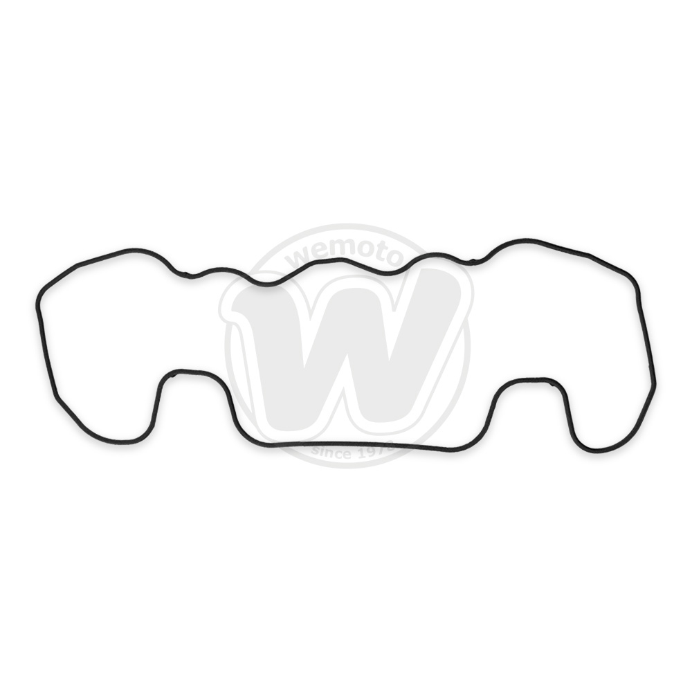 Guarnizione Tenuta Bilanciere