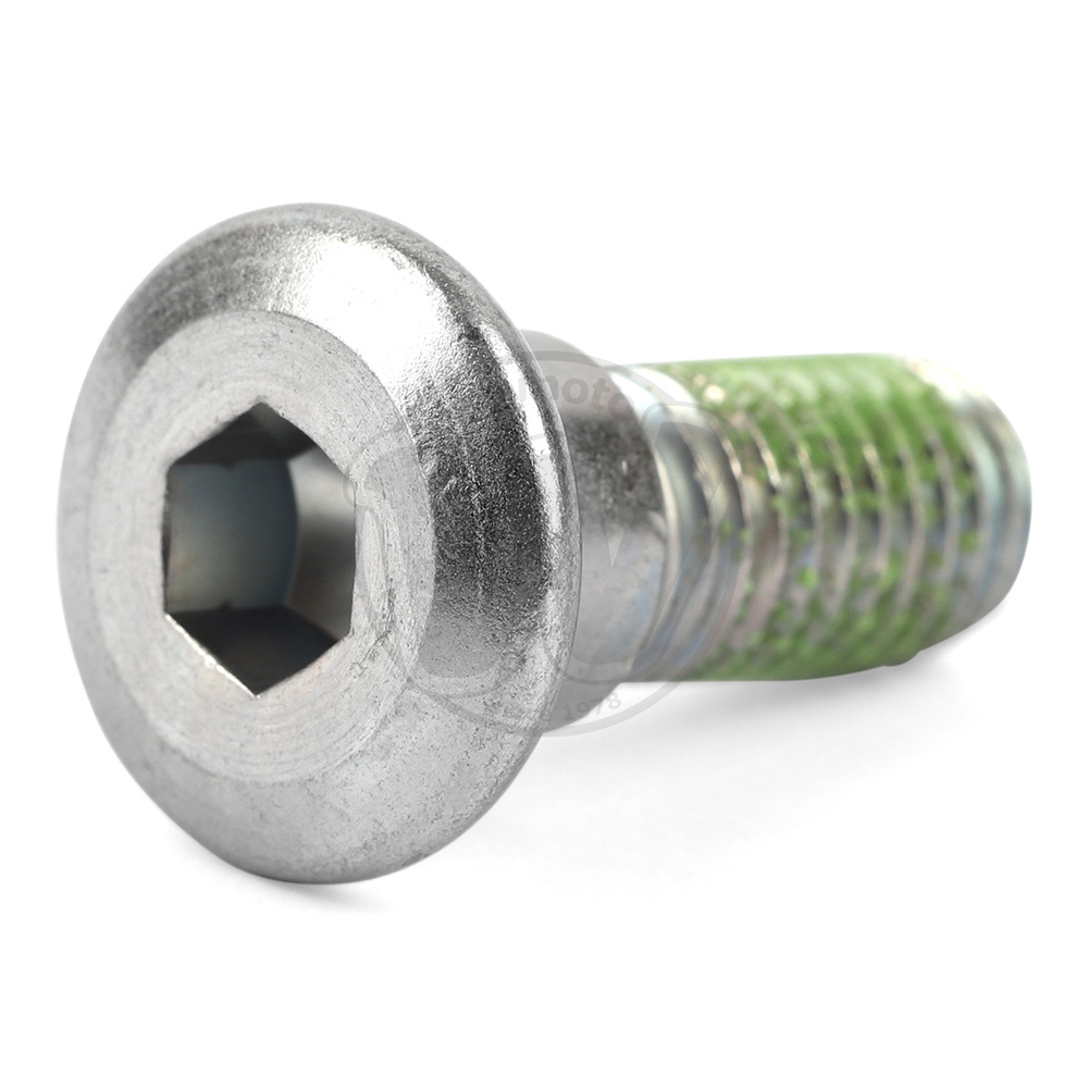 Mounting Bolt - Rear Disc - OEM