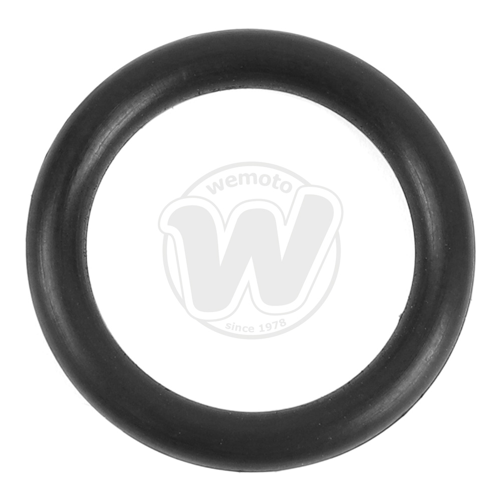 O-Ring Asta Controllo Livello Olio