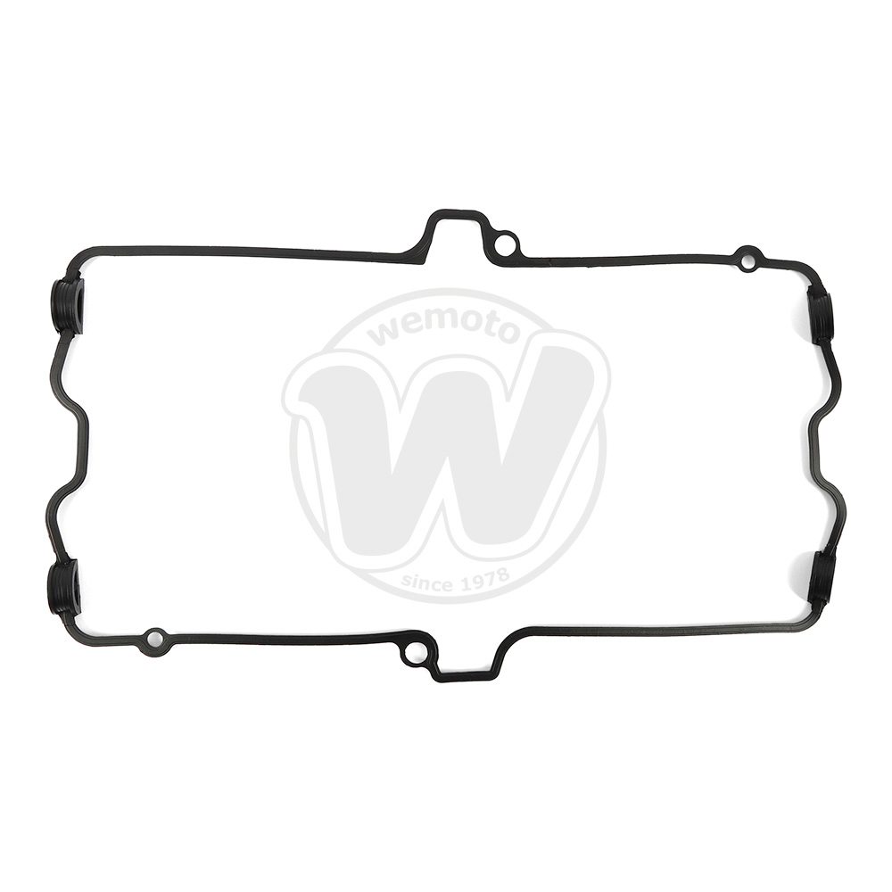 Guarnizione Tenuta Bilanciere