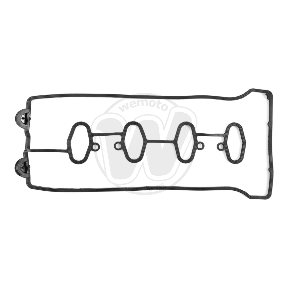 Guarnizione Tenuta Bilanciere