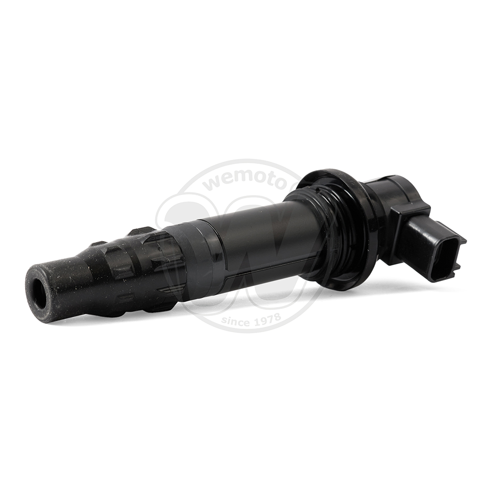 Bobina Accensione - OEM