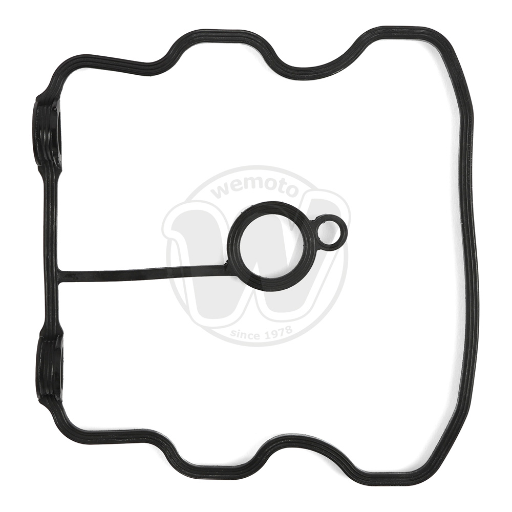 Guarnizione Tenuta Bilanciere