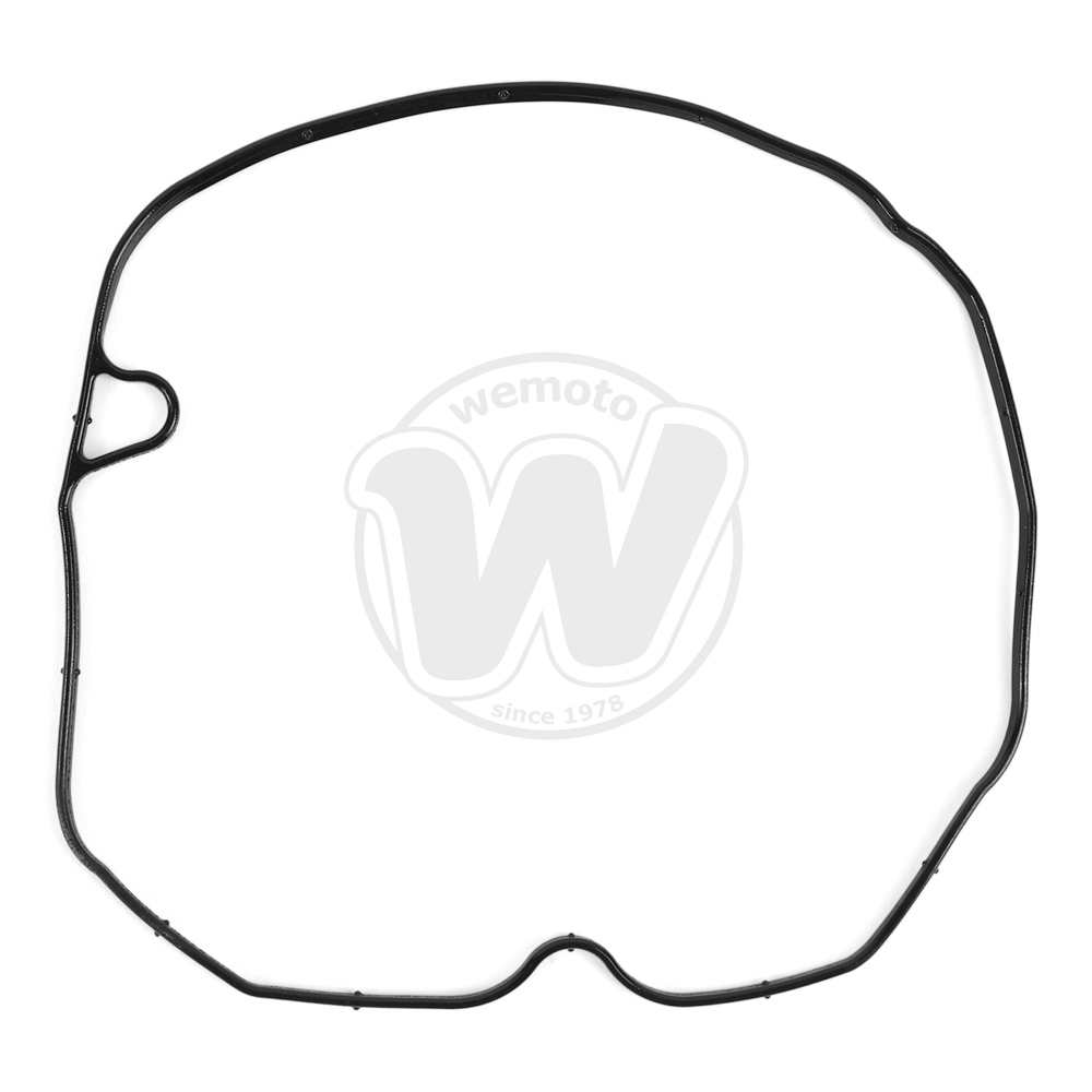 Guarnizione Tenuta Bilanciere