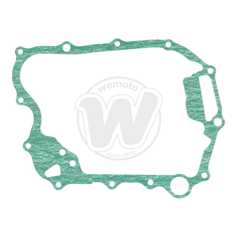 Guarnizione Alternatore