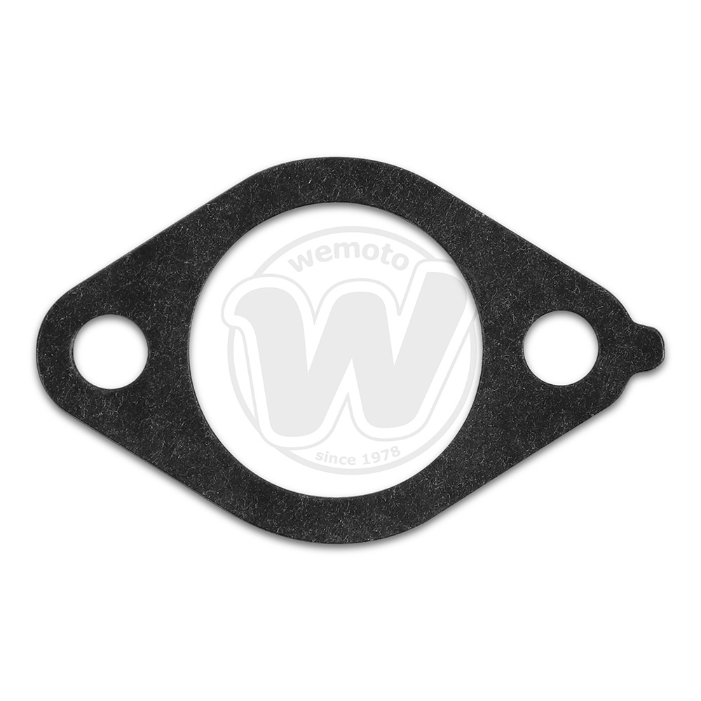 Guarnizione Tenditore Catena Distribuzione