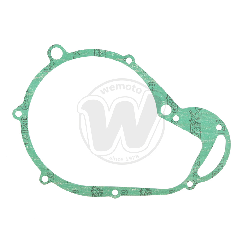 Guarnizione Alternatore