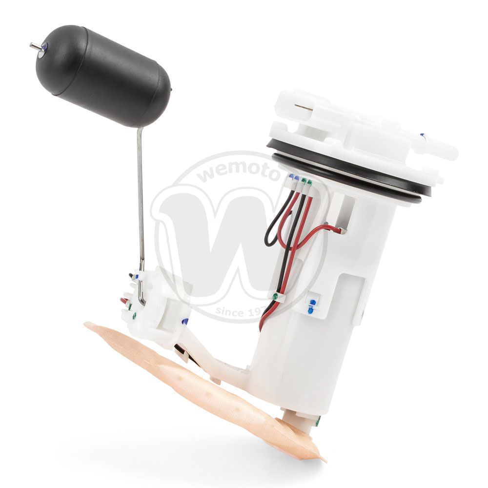 Fuel Pump Assembly