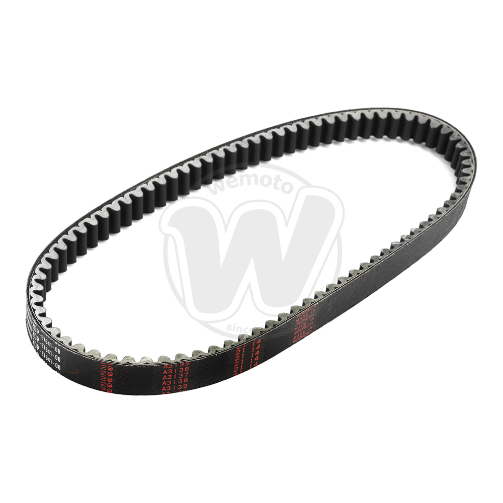 Cinghia di Trasmissione