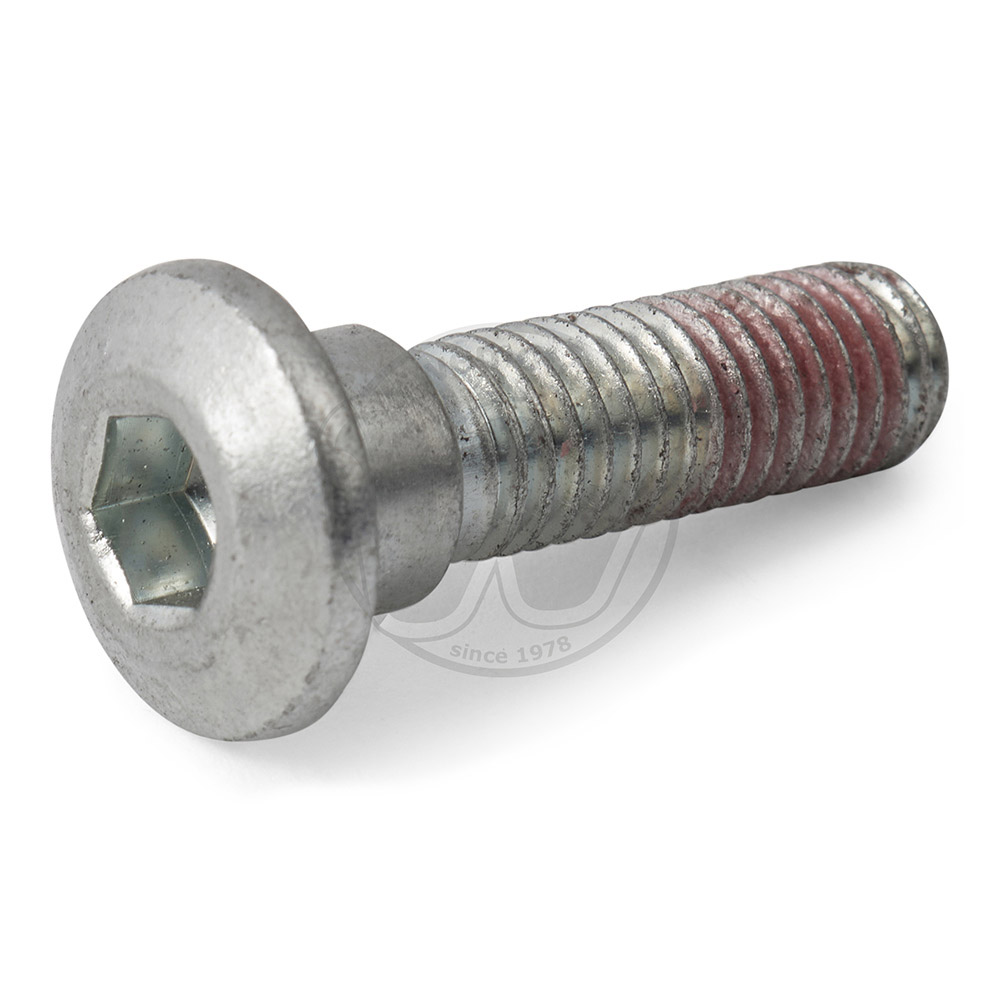 Mounting Bolt - Front Disc - Individual