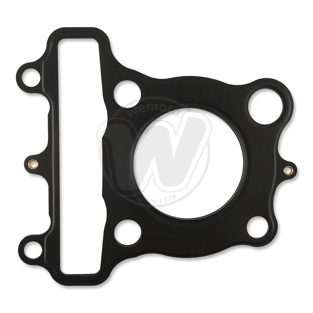 Cylinder Head Gasket