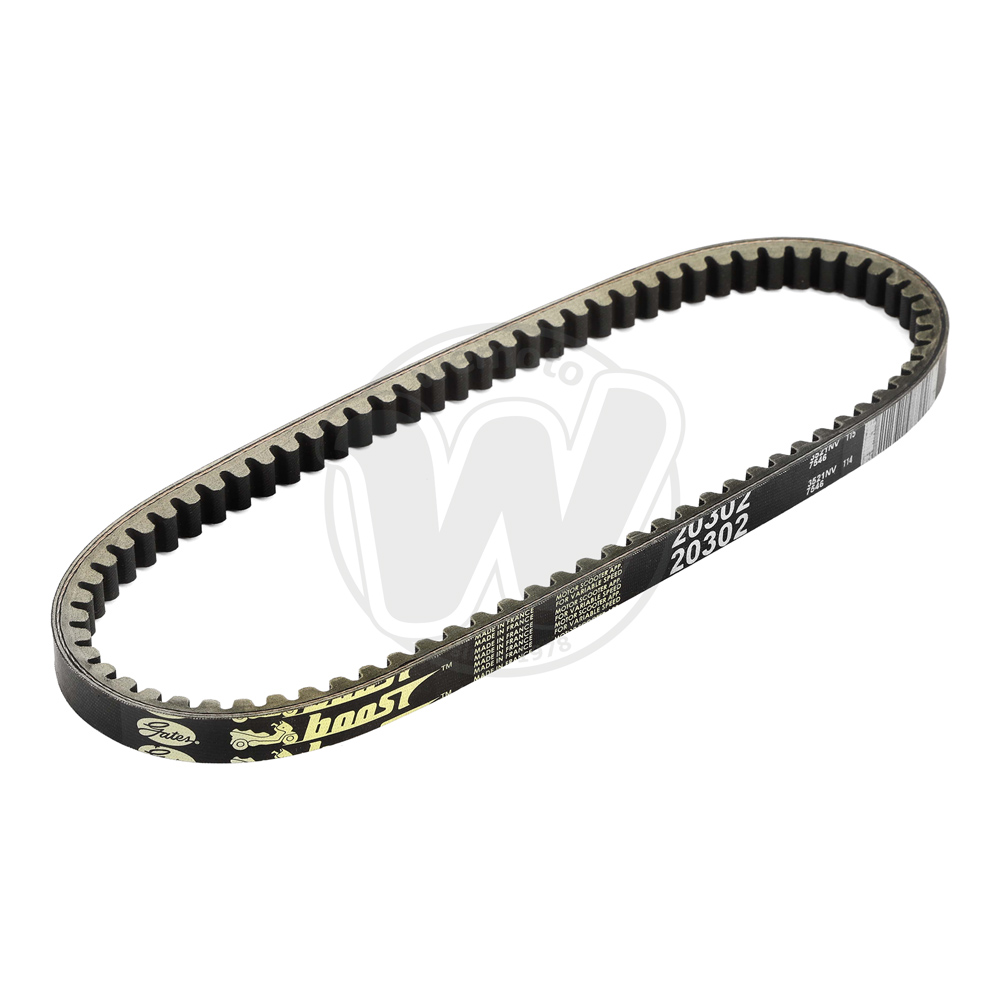 Cinghia di Trasmissione