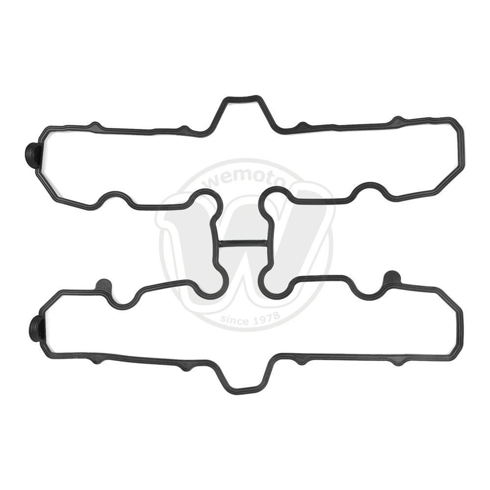 Guarnizione Tenuta Bilanciere