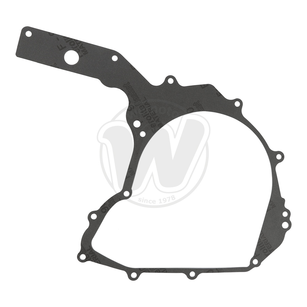 Guarnizione Alternatore